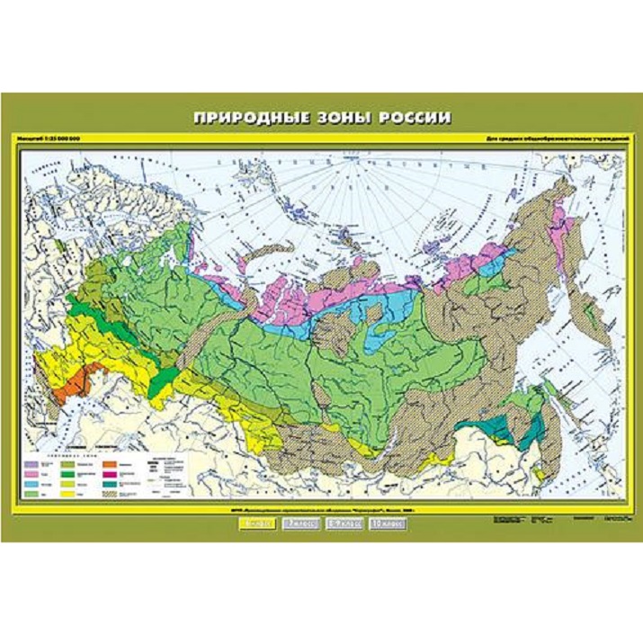 Природные зоны России | Лаборатории под ключ