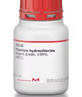 T4625. Гидрохлорид тиамина. 5гр
