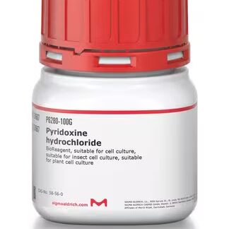 P6280. Пиридоксина гидрохлорид 10 гр