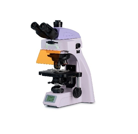 Микроскоп биологический MAGUS Lum 450L